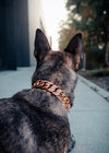 Rose Gold Pink Studded Collar