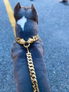 Gold Bully Studded Collar